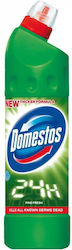 Domestos Pine Χλωρίνη σε Υγρή Μορφή με Άρωμα Πεύκο 750ml