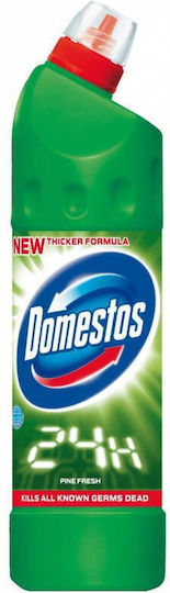 Domestos Pine Χλωρίνη σε Υγρή Μορφή με Άρωμα Πεύκο 750ml