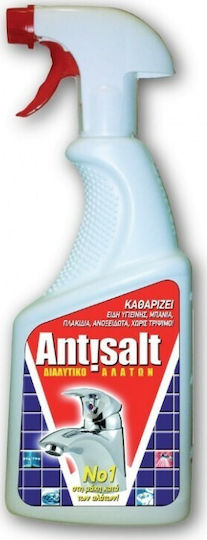 Holchem Επαγγελματικό Antisalt Καθαριστικό Spray Κατά των Αλάτων 710ml
