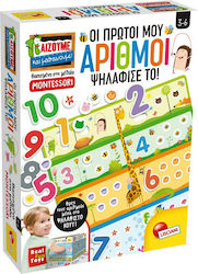 Lisciani Giochi Οι Πρώτοι μου Αριθμοί Ψηλάφισε το για 3-6 Ετών