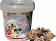 Nobby Starsnack Party Mix Biscuit Dog with Meat, Duck and Salmon 500gr 69731