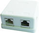 Cablexpert Doppelter Extern Netzwerksteckdose RJ45 Typ Cat5 in Weiß Farbe CAT5e GM-SMB2