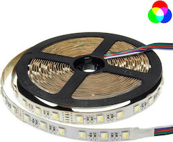 Optonica Bandă LED Alimentare 12V RGBW Lungime 5m și 60 LED-uri pe Metru SMD5054