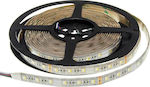 Optonica Waterproof LED Strip Power Supply 12V RGBW Length 5m and 60 LEDs per Meter SMD5054