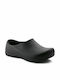 Birkenstock Profi Birki Anatomic Sabot Negre 0074011