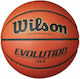 Wilson Evolution Basket Ball Indoor