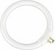 Tele Magnifying Lense with Light Magnifying Lens 1pcs