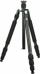 Sirui W-2004 Picioare Fotografice Pentru Trepied Sirui W-2004 Picioare Fotografice Pentru Trepied