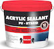 Berling Acrylic Sealant PU Hybrid Elastomer Acrylic Insulating Sealing Polyurethane 10lt White