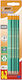 Bic Eco Evolution 655 Pencil HB Set with Eraser Green 10pcs