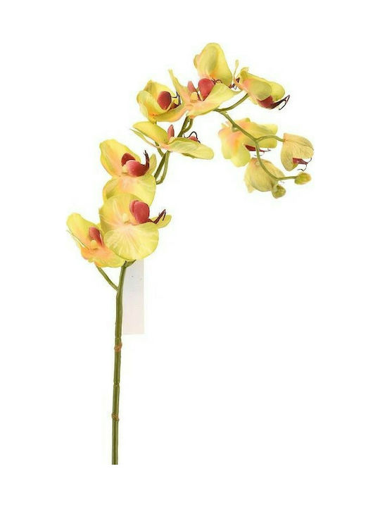 Supergreens Künstlicher Dekorativer Zweig Orchidee Green 75cm 1Stück