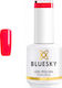 Bluesky Classic Halb-permanenter Nagellack Frui...