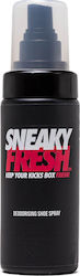 Sneaky Brand Fresh Black Βαφή Παπουτσιών 150ml