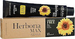 Kyana Herboria Max Ammonia Free Hair Dye no Ammonia 7/64 Blonde Red Red Bronze 100ml