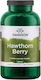 Swanson Hawthorn Berry 565mg Special Food Supplement 250 Capsules