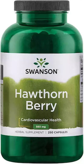 Swanson Hawthorn Berry 565mg Special Food Supplement 250 Capsules
