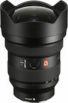 Sony Full Frame Camera Lens FE 12-24mm f/2.8 GM Ultra-Wide Zoom / Wide Angle Zoom for Sony E Mount Black