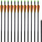 vidaXL Fiberglass Arrows 12pcs