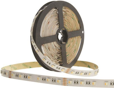 Eurolamp Waterproof LED Strip Power Supply 24V RGBW Length 5m and 60 LEDs per Meter SMD5050