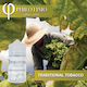 Philotimo Flavor Shot Traditional Tobacco 30ml/60ml 1τμχ