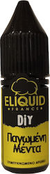 E-Liquid France Άρωμα Freezing Mint 10ml E-Liquid France Άρωμα Freezing Mint 10ml