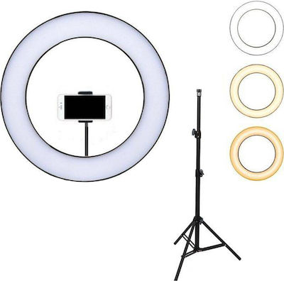 Andowl Ring Light 25cm 2500-4500K με Τρίποδο Δαπέδου και Βάση για Κινητό