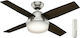 Hunter Dante Ceiling Fan 112cm With Light Black Oak