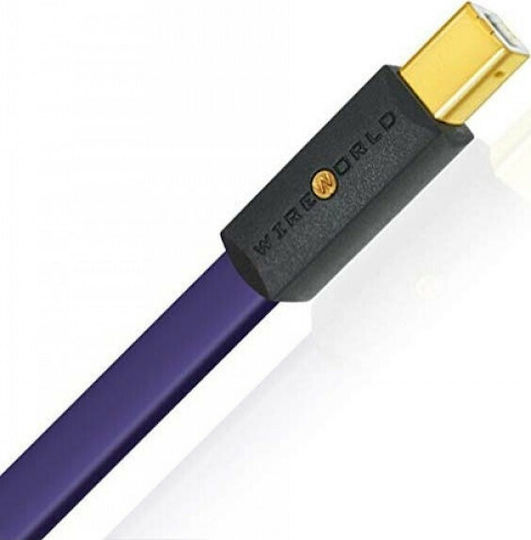 Wireworld 0.6m USB 2.0 Cable A-Male to B-Male Purple