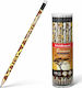 ErichKrause Savanna Pencil HB with Eraser (Μiscellaneous Designs/Colors)