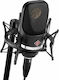 Neumann TLM 107 Studio Set Σετ Πυκνωτικό Μικρόφωνο XLR Shock Mounted για Φωνητικά