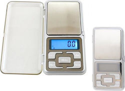 Precision Scale 0.5kg / 0.1g Precision Scale 0.5kg / 0.1g