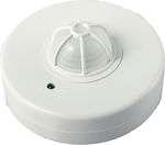 Telco STO6P Motion Sensor with Range 12m in White Color L99.072