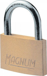 Master Lock CAD20 Steel Padlock Brass with Key 20mm 1pcs