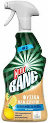 Cillit Bang Reinigungsspray Anti-Kalkmittel mit Duft Zitrone 750ml