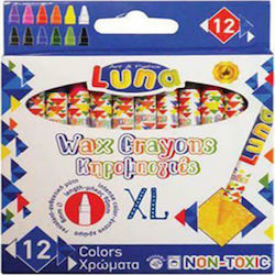 Avenir Silky Crayons Lion