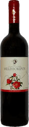 Ktima Paterianaki Bio Bienenhof Rot Trocken 750ml
