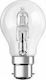 Geyer Halogen Lamp for Socket B22 with Power 42W
