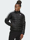 Adidas Men's Winter Puffer Jacket Black