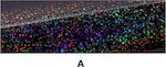 Autoline Folie Antiradiatie Auto 11043 Nuanță iridescentă 300x50cm A