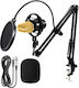 Condenser XLR Microphone BM-700 Kit Shock Mount...