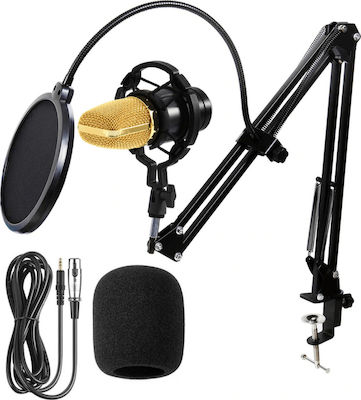 Condenser XLR Microphone BM-700 Kit Shock Mounted/Clip On for Voice