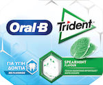 Trident 9 Gume de mestecat Oral-B cu Aromă de Mentă verde Fără adaos de zahăr 12buc 17gr