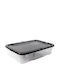 Hega Hogar Cutie de Depozitare din Plastic cu Capac 58x39x14cm
