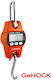 GeHock Electronic Professional Hanging Scale with Weighing Capacity of 300kg and Division 200gr
