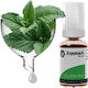 Joyetech Aromă iCe Menthol 10ml 1buc