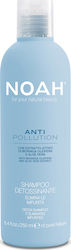 Noah for Beauty Anti Pollution 250ml Haarspülung Noah for Beauty Anti Pollution 250ml Haarspülung