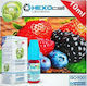 Hexocell Fertige Nachfüllflüssigkeit Forest Pleasures Fruit Mix mit Fruchtig Geschmack 6mg 10ml