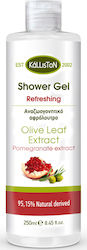 Kalliston Olive Leaf Extract 250ml Kalliston Olive Leaf Extract 250ml