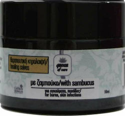 Laurus Nobilis Κηραλοιφή Με Ζαμπούκο 50ml