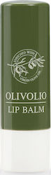 Olivolio Botanics Lippenpflege Balsam 4,5gr